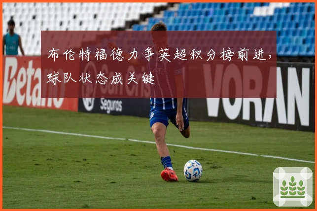 布伦特福德力争英超积分榜前进，球队状态成关键